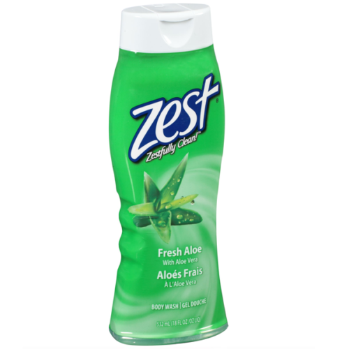 Zest Moisturizing Body Wash 487ml