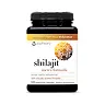 Youtheory Men’s Shilajit 120 Capsules