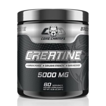 CORE CHAMPS Creatine Monohydrate 300g