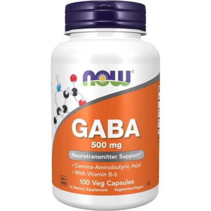 NOW Foods, GABA 500 mg 100 Veg Capsules