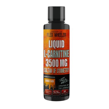 L-Carnitine - 31 Servings (473ml) | Liquid Energy Boost and Fat Metabolism Support Orange